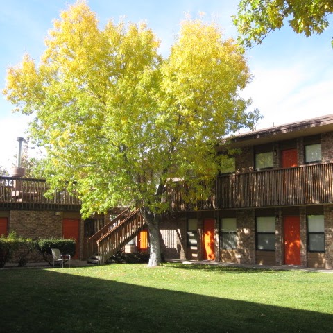 Joyce Erickson Photo 29