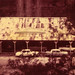Paul Shales Photo 9