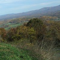 Robert Perkins Photo 16