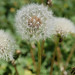 Timothy Flora Photo 8
