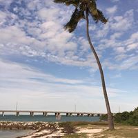Christine Daugherty Photo 22