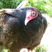 Christopher Hargis Photo 12