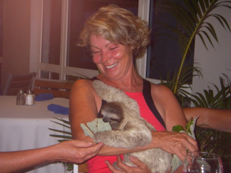Roxanne Cook Photo 30