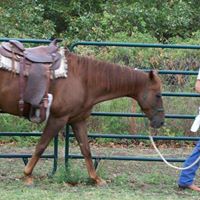 Kenneth Bacon Photo 25