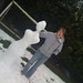 Laurence Stephenson Photo 7