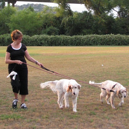 Judy Bell Photo 22