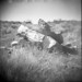 Diana Sage Photo 27