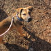 Gregory Shepherd Photo 15