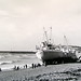 Walter Richter Photo 16