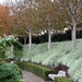 Jane Hedges Photo 11