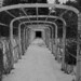 John Langdon Photo 36