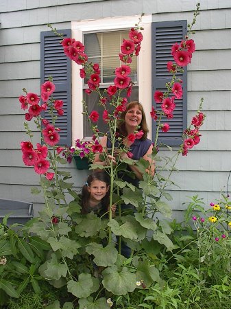 Barbara Hall Photo 25