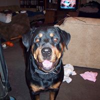 Amy Waldrop Photo 8