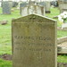 Marjorie Nelson Photo 8