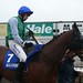 Ruby Walsh Photo 18