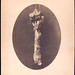John Bone Photo 17