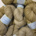 Brandy Dye Photo 23