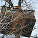 Robin Roden Photo 14