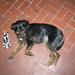 Amy Freund Photo 16