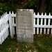 Richard Potter Photo 27