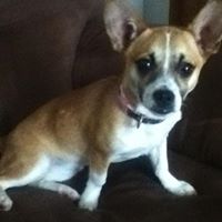 Jacob Kincaid Photo 10