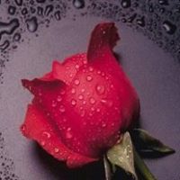 Rakesh Chopra Photo 15