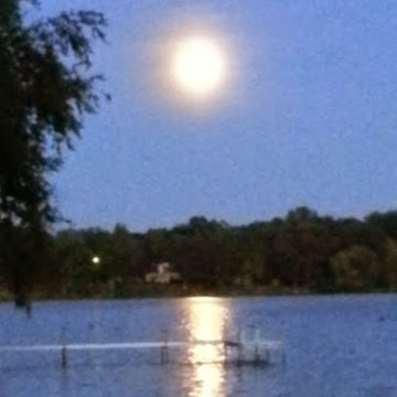Sharon Crain Photo 5