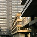 Marshall Robertson Photo 29