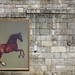 George Stubbs Photo 20