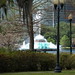Ponce Robinson Photo 2
