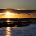 Dawn Rowe Photo 15