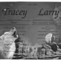 Tracey Phillips Photo 15