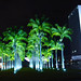 Tadeu Andrade Photo 6