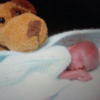 Elizabeth Hinton Photo 39