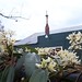 Eugene Flowers Photo 7