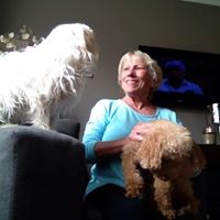 Colleen Novosel Photo 1