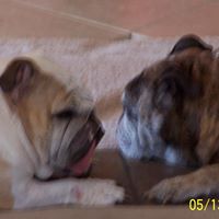 Joann Long Photo 11
