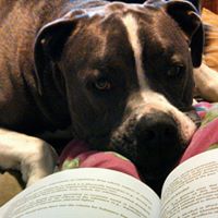 Brandy Haskell Photo 7