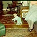 Dorothy Rhoades Photo 13