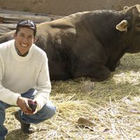 David Alavi Photo 5