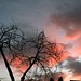 Sherry Erickson Photo 35