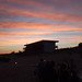Theresa Schwartz Photo 23