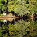 Joy Woodfin Photo 5
