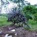 Steven Conaway Photo 19