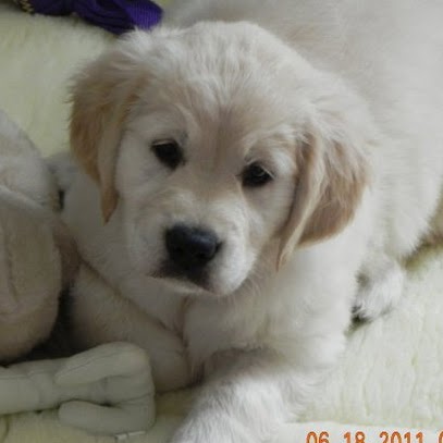 Cathy Winkler Photo 7
