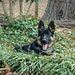 Patsy Shepherd Photo 16