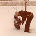 Jason Snow Photo 14