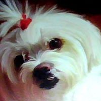 Emily Reese Photo 7