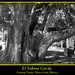Sabino Rodriguez Photo 14