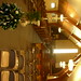 Cindy Maas Photo 17